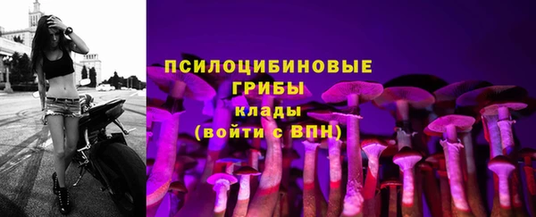 МДМА Протвино