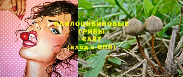 трава Каменка