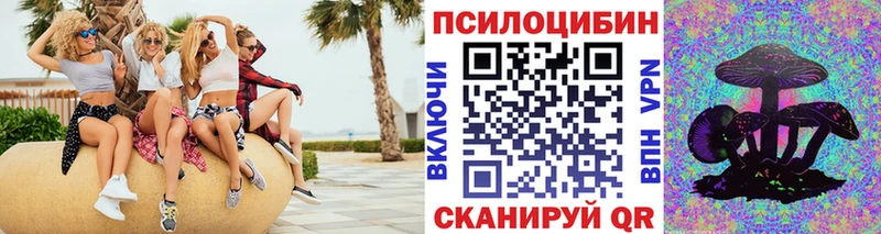 Галлюциногенные грибы Psilocybe  Купить  Зарайск 